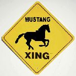 Mustang Xing... Double Yellows and Other Lines