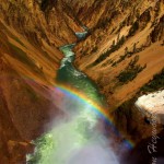 Rainbow over Grand Canyon of The Yellowstone, Yellowstone National Park