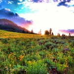 Sunsetting over a meadow in norther Yellowstone National Park