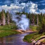 Riverside Geyser, Old Faithful Area, Yellowstone National Park