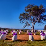 Rabbits wearing purple for Alzheimer's Awareness - Newport Beach Civic Center Park
