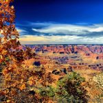Fall on the South Rim of the Grand Canyon