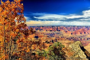 Fall on the South Rim of the Grand Canyon